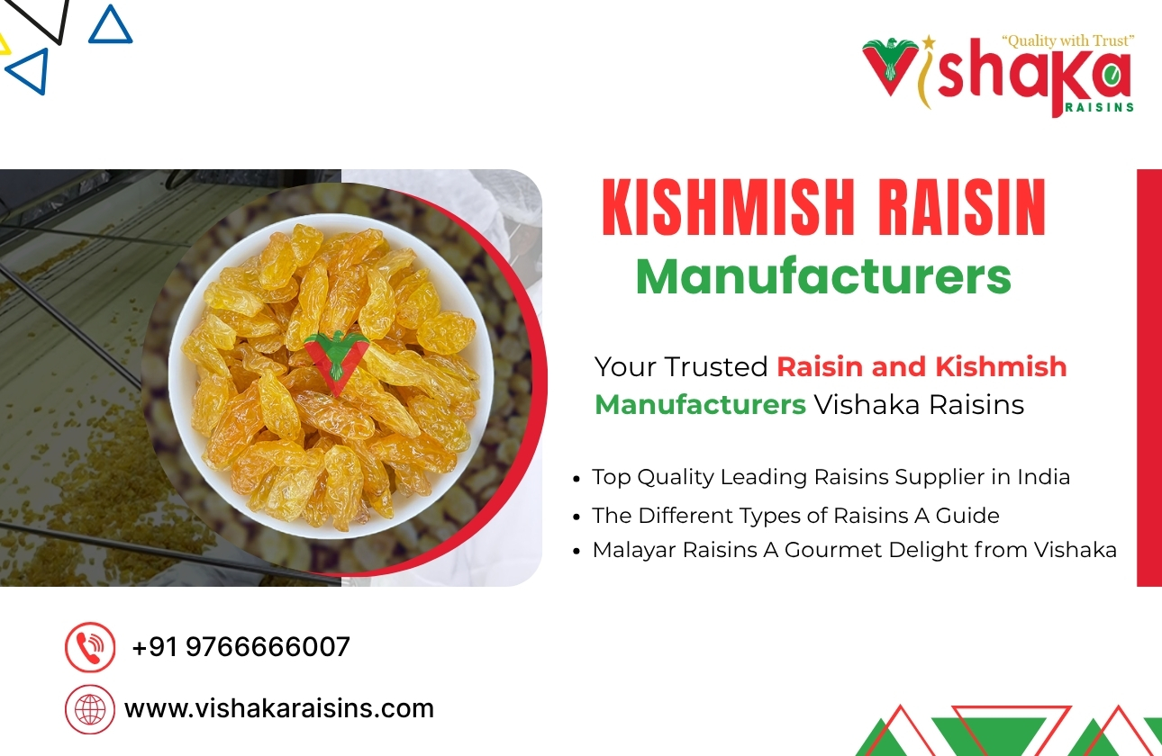 Top Raisin Manufacturers in India | Premium Kishmish Suppliers Vishaka Raisins