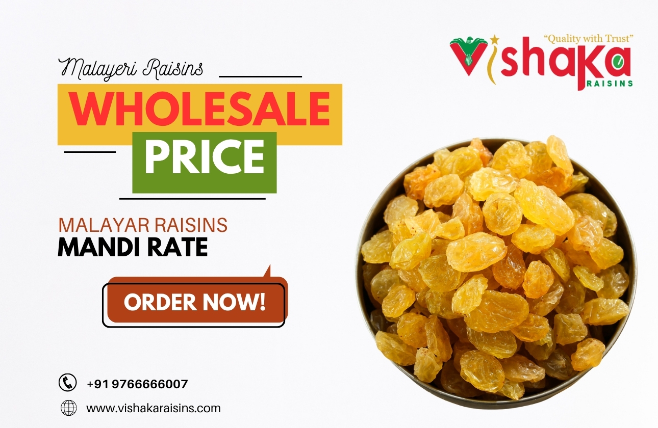 Premium Malayeri Raisins Dealers in India Get the Best Malayar Raisins Wholesale Price and Mandi Rate from Vishaka Raisins