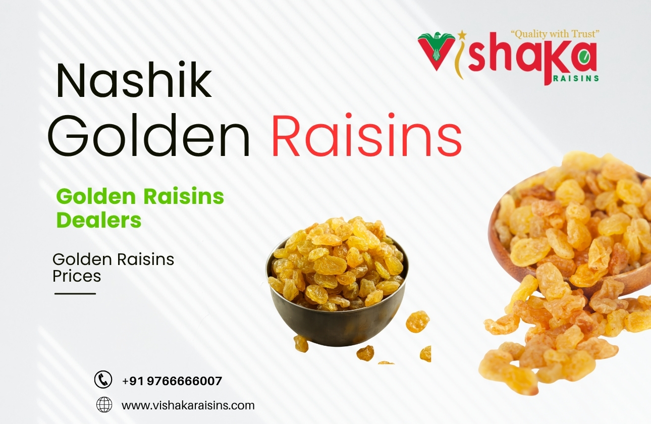 Premium Nashik Golden Raisins Trusted Golden Raisins Dealers Offering the Best Golden Raisins Prices in India